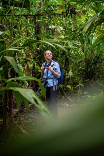 Tourist exploring rainforest, dense vegetation, Tortuguero National Park, Costa Rica