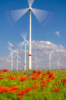 Wind farm, field with flower strips, insect-friendly border of fields with mixed flowers, poppies,