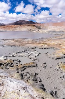 Andean Fauna National Reserve, Eduardo Avora, Altiplano, Bolivia