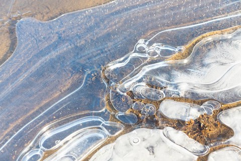 Ice on the banks of the Elbe with air pockets creates structures that stimulate the imagination