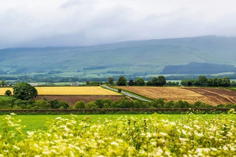 Farms and Fields over Hartside Pass, North Pennines, Cumbria, Durham, Northumberland, North
