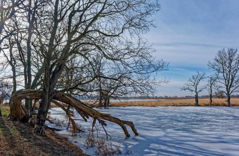 Ice and snow-covered foothills of the Oder in the area of the Schwedt lock in the Lower Oder Valley