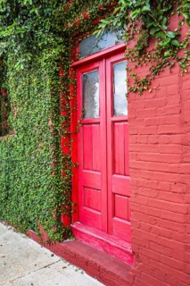Ivy covered bright red brick wall with bright red door in downtown Green Cove Springs, Florida, USA