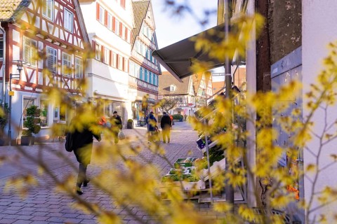 Lively street view with half-timbered houses and flowering plants in the foreground, Calw in