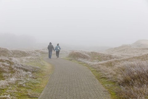 Hiking trail through the dune landscape in the fog on Norderney, Lower Saxony, Germany