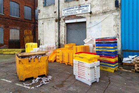 Fish trays and fish carcasses in waste skip. Grimsby docks, north east Lincolnshire, England, UK