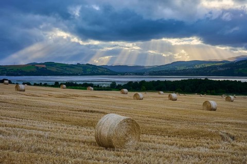 Straw bales in a field with dramatic sky and rays of light over a lake and mountains, Dingwall,