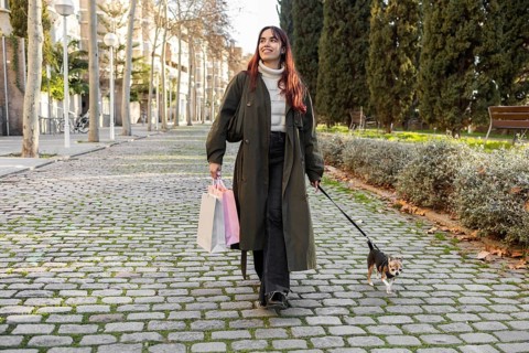 A woman walks her chihuahua on a sunny day, holding colorful shopping bags. The scene captures a
