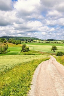 Rural landscape view with a winding gravel road leading through bright green fields in a rolling