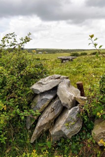 View over stone wall, boundary, unknown dolmen in a meadow, County Clare, Ireland