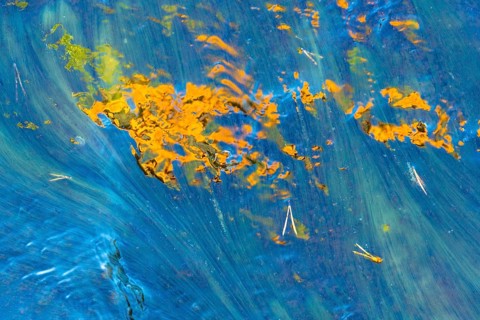 Light reflection in a stream, abstract, Norrbotten, Lapland, Sweden, August 2022