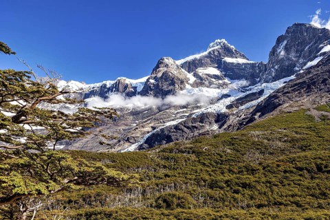 Snow-covered mountain peaks above green forest slopes under a blue sky, the landscape of Torres del