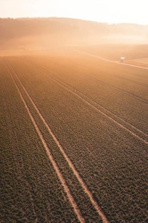 Large fields in fog and morning sun with uniform lines, Gechingen, Calw district, Germany