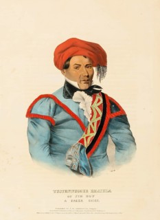 Tustennuggee Emathla (1836), Native American, Historical Native American tribes from North America,