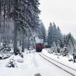 Harz narrow-gauge railway, Brocken railway in snowy landscape, spruce forest, dreary winter
