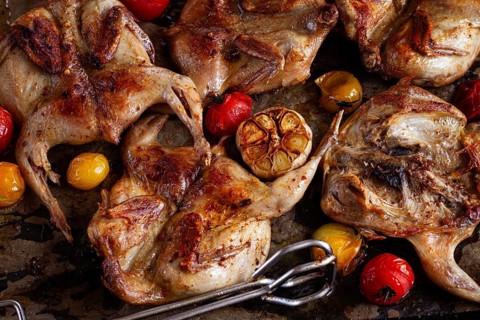 Grilled quail meat, on a platter, tobacco, in the oven, with spices, homemade, without people