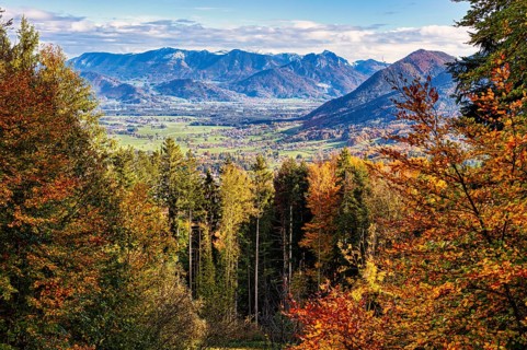 Autumnal landscape with colourful forests and views of the mountains in the Alps, Hocheck