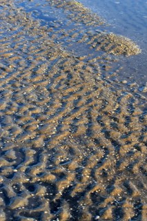 Morning atmosphere on the beach of the Baltic Sea, September, Usedom, Mecklenburg-Western