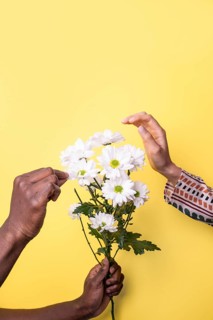 A close-up image shows a diverse pair of hands delicately holding a bunch of white flowers against