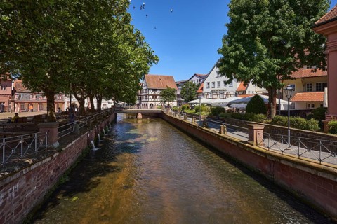 River Mümling, general development, car and pedestrian bridge, trees, metal railings, blue