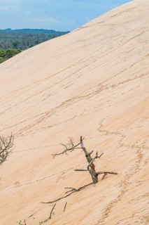 A vast, textured surface of the Grande Dune du Pilat, the tallest sand dune in Europe, located in