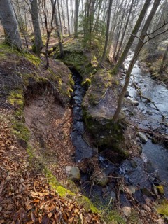Landscape view of a stream flowing into the Nieme river, surrounded by woodland, in late winter,
