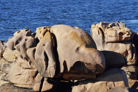 Granite rocks on the coast, Cote de Granit Rose near Ploumanac'h, Cotes-d'Armor, Brittany, France