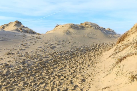 Hiking trail through the dunes of Norderney, Lower Saxony, Germany