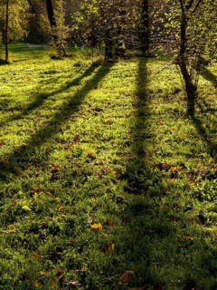 Autumn atmosphere in the English Garden, Munich, Bavaria, Germany