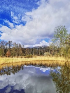 Clear reflection of clouds and trees in water on a sunny day, Nettetal North Rhine-Westphalia Lower