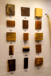 Interior of city museum, Campeche city, Campeche State, Mexico display of types of hardwood timber