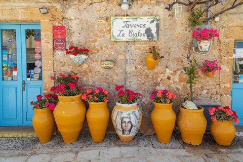 Flowers pots, Marzamemi, Noto Valley, Sicily, Italy