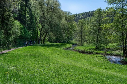 Spring landscape in the Auseß valley, on the right the river Auseß, Doos, Upper Franconia, Bavaria,