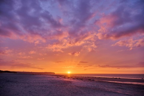 Colorful sunset on the beach with Grey seal (Halichoerus grypus) lying lying on it, Düne,