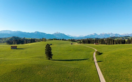 Long path winds through green fields with mountain views under a bright sky, Alps, near Füssen,