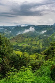 Overlook over the Valle de Cocora, Unesco site coffee cultural landscape, Salento, Colombia