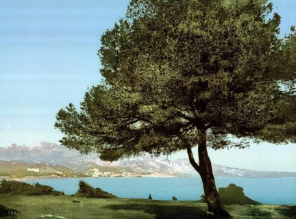 General view, Cap Martin, Menton on the Riviera, France, c. 1895, Historic, digitally restored