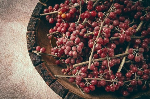 Shtoshi berry, Shepherd's pie, a hybrid of sea buckthorn and barberry, top view, no people