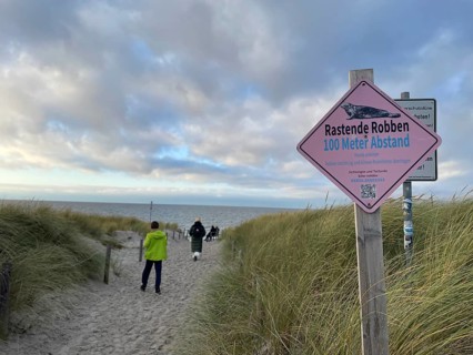 Resting seals, sign, beach, Darss-Zingster Bodden chain, Baltic Sea, peninsula, nature, autumn,