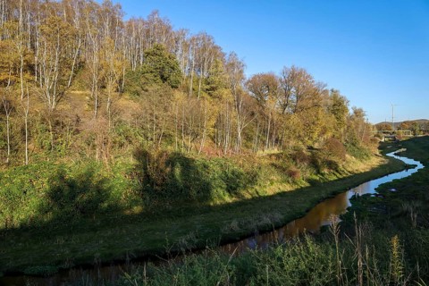 Bottrop, North Rhine-Westphalia, Germany - Renaturalised Boye in autumn, the tributary of the