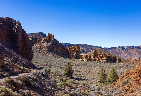 Hiking on the Montana Guajara, rock formation Canada del Capricho, Canary Island pine (Pinus