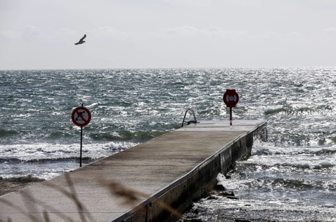 A seagull flies in stormy weather on the beach of the island of Fehmarn, 05.04.2026, Fehmarn,