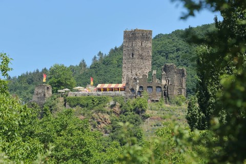 Metternich Castle, Beilstein, Central Moselle, Moselle, Rhineland-Palatinate, Germany
