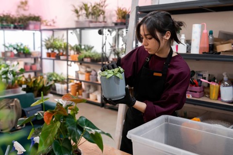 A young woman cultivates potted plants in a bright indoor garden. Shelves filled with greenery