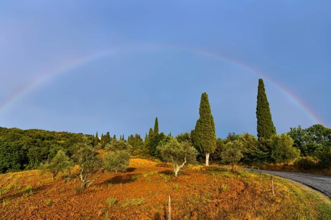 Landscape in the evening light, nature, landscape, weather, rain, sun, dramatic, rural, tourism,