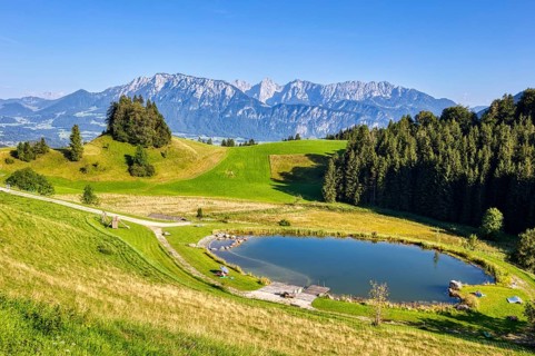 Idyllic mountain landscape with a clear lake, surrounded by green meadows and forests under a clear