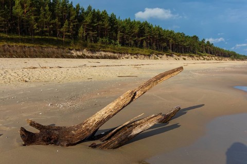 Beach at sunrise, close to Stegna, a village in Nowy Dwór Gdanski County, Pomeranian Voivodeship,