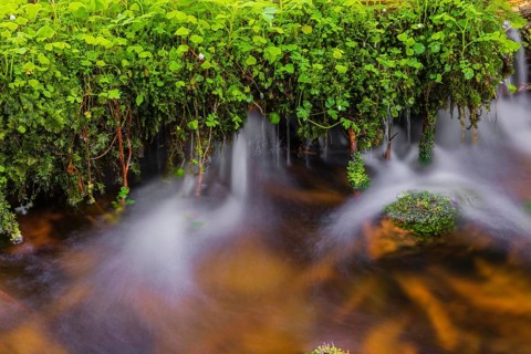 Kleine Ohe creek below Waldhaeuser village in the Bavarian Forest Nationalpark. Flowing water,
