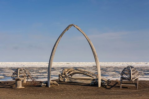 Whale bones and boat scaffolding off the Arctic Ocean, pack ice, Point Barrow, Barrow, Alaska, USA