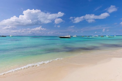 Mexico, Cancun, Isla Mujeres, Playa Norte beach with palms trees and sand waiting for tourists